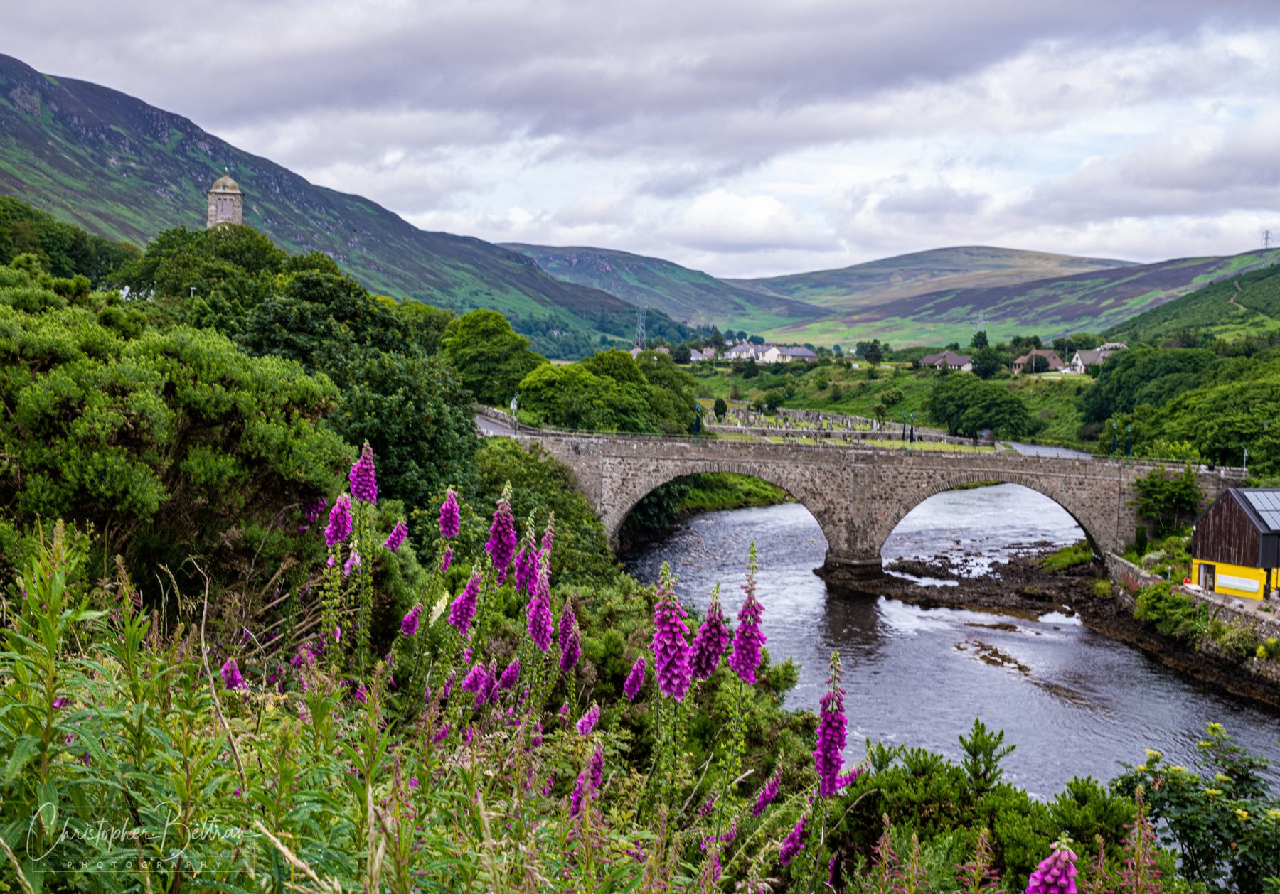 Stone bridge and foxgloves in the Highlands · Scotland